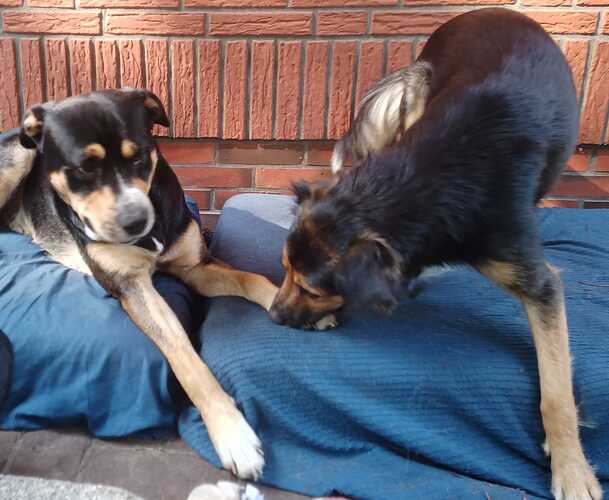 IMG-20240723-WA0006