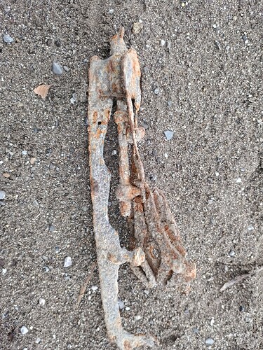 IMG_20250424_120118190_HDR