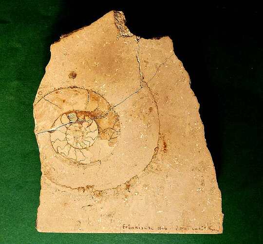 SF01 Jura Eichstätt