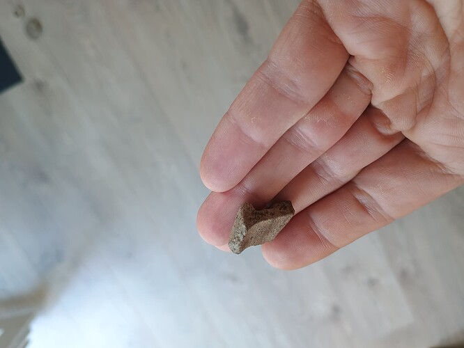 IMG_20250718_112419650