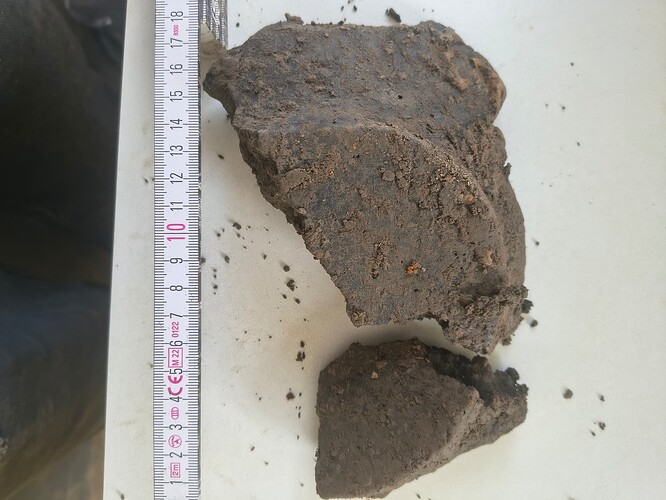 IMG_20260304_132536627_HDR