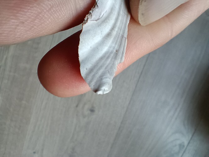 IMG_20250928_184532389