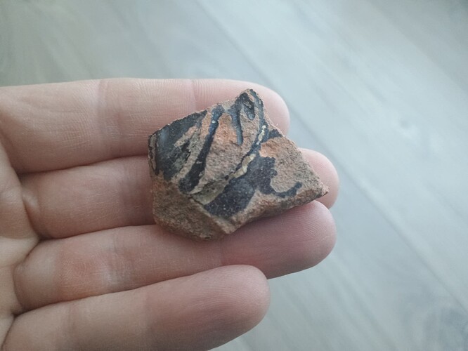 IMG_20250430_063732834