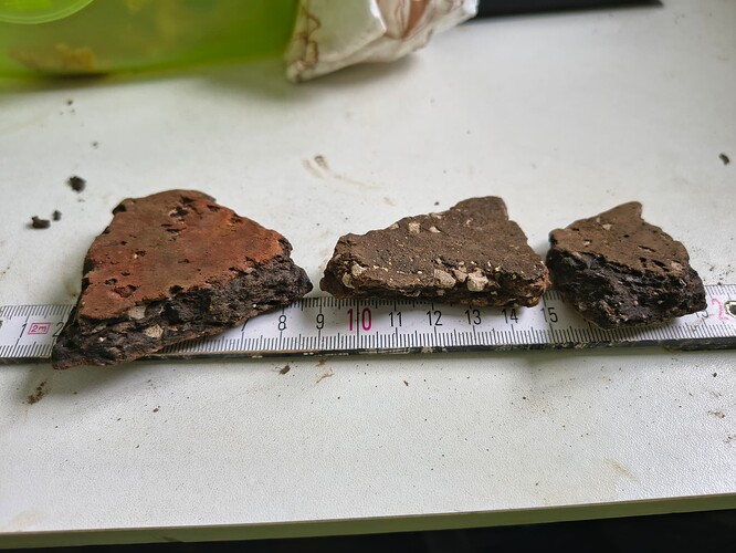 IMG_20260223_113909665_HDR