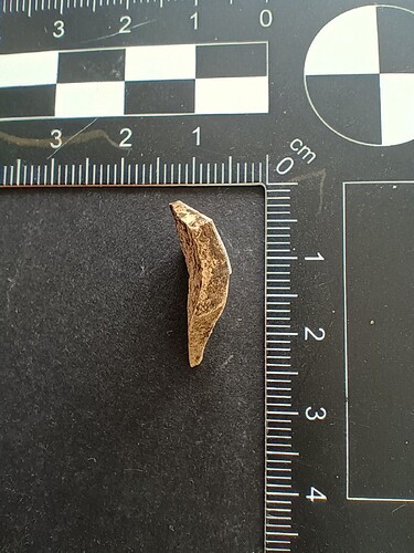 IMG_20251114_094857674_HDR