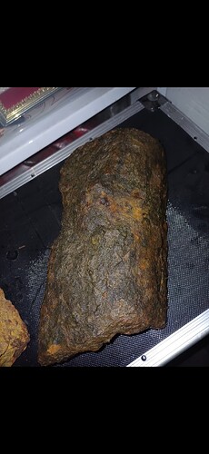 Screenshot_20250829_173332_Gallery