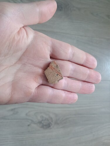 IMG_20260220_091722389