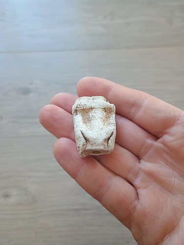 IMG_20260227_082718041