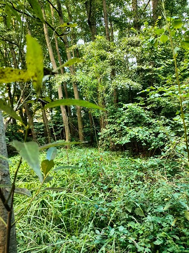 IMG20230902185341