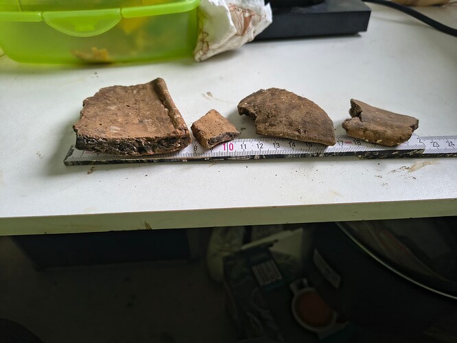 IMG_20260223_113248859_HDR